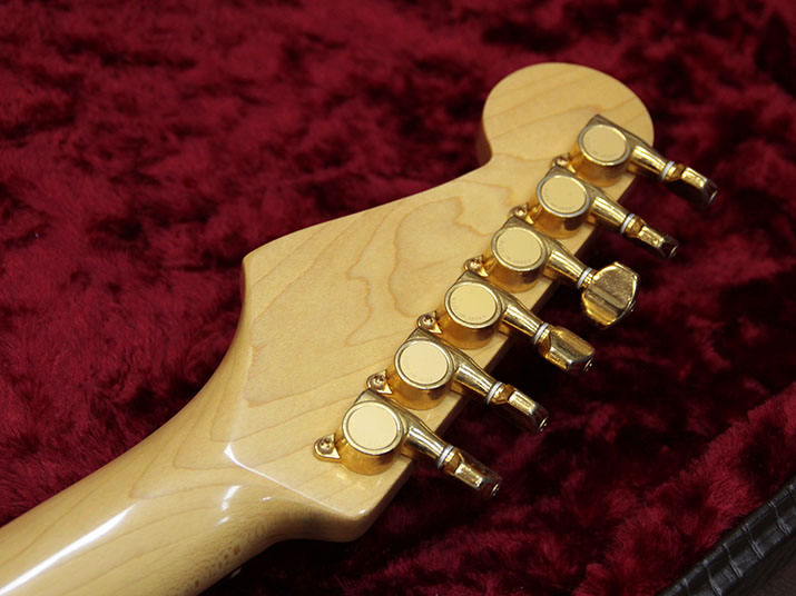 Fender Japan Special Order Stratocaster 6