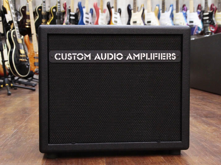 Custom Audio Amplifiers 112 Cabinet 1