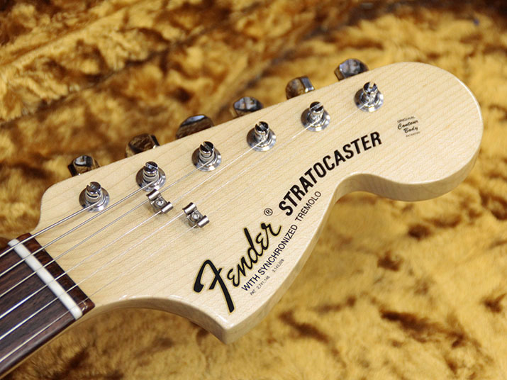 Fender Custom Shop Master Built 1969 Stratocaster NOS 3CS by Dale Wilson 5