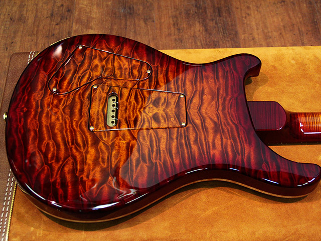 Paul Reed Smith(PRS) Private Stock Custom22 4