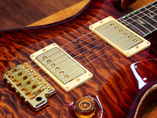 Paul Reed Smith(PRS) Private Stock Custom22 5
