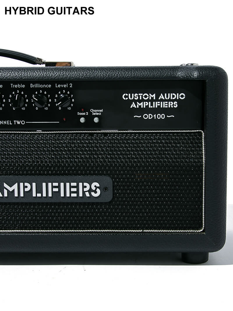 Custom Audio Amplifiers OD100 Head EL34 5
