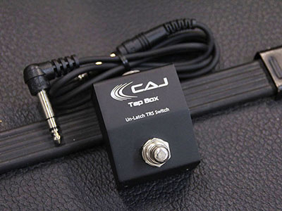 Custom Audio Japan(CAJ) TAP BOX
