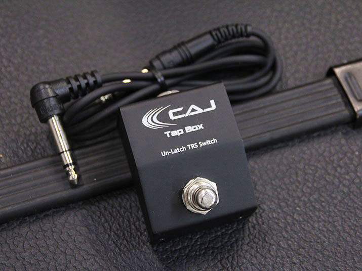 Custom Audio Japan(CAJ) TAP BOX 1