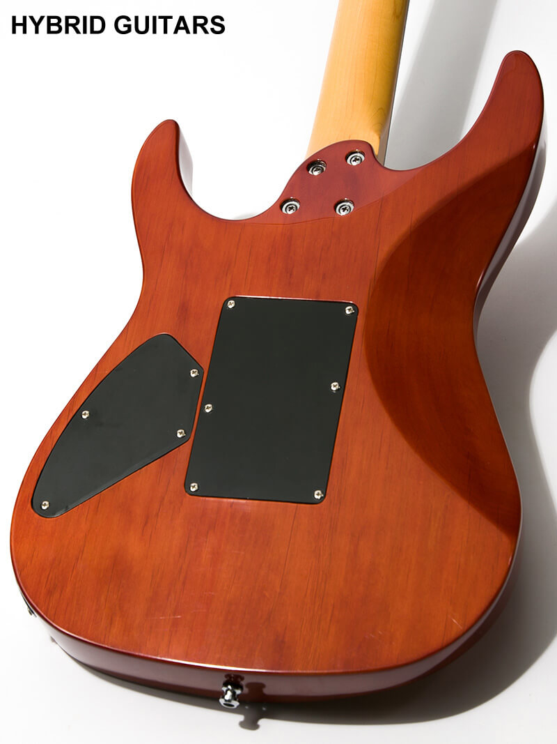 Y-man Guitar Workshop Dinky Stratocaster Typle Zebrawood 4