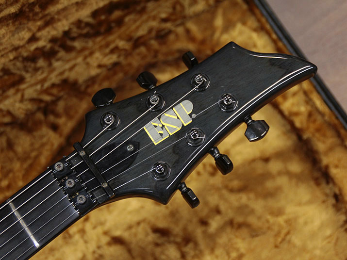 ESP FOREST-GT 7