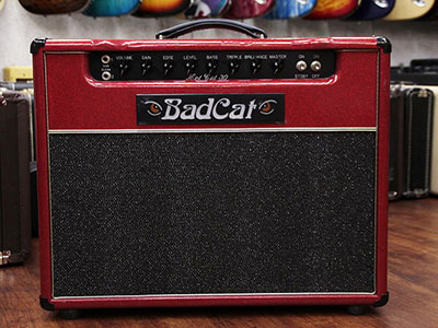 Bad Cat Hot Cat 30