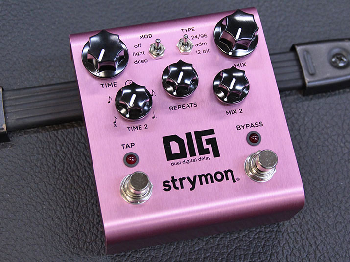 Strymon DIG Dual Digital Delay 1