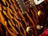 ESP Exhibition Limited AMOROUS NT ボディー正面 サムネイル