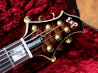 ESP Exhibition Limited AMOROUS NT ネック サムネイル