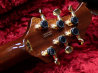 ESP Exhibition Limited AMOROUS NT 写真9 サムネイル