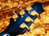 Giffin Guitars Macro Blueburst 写真9 サムネイル