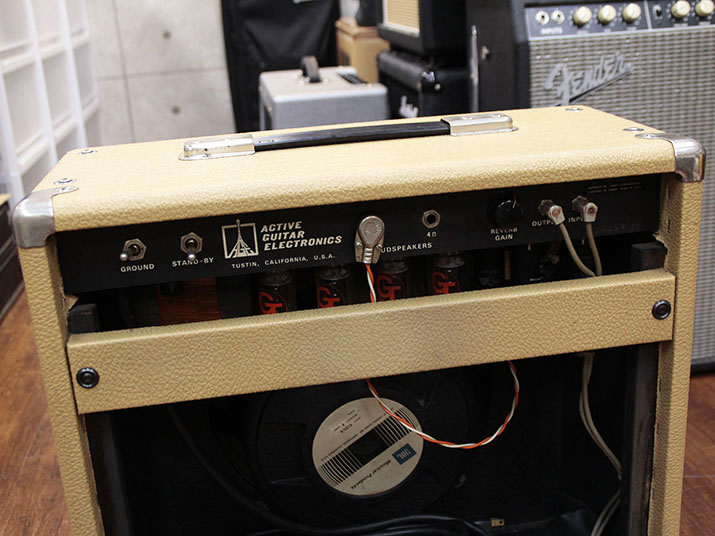 Jim Kelley Amplifiers Single Channel Reverb Combo 5