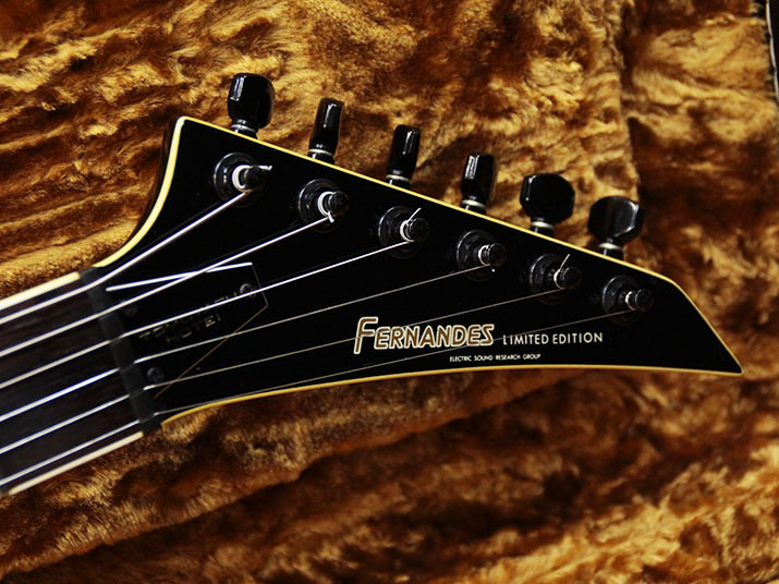 FERNANDES TE-95HT 7