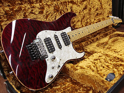 Schecter EX-V-22-CTM FRT FM BKCH Flame Maple Neck