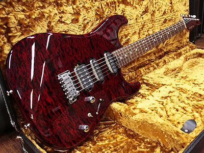 Schecter ST-4-CTM-VTR BKCH