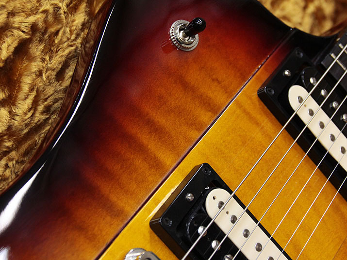 Gibson Custom Shop TAK MATSUMOTO FIREBIRD VINTAGE SUNBURST 2