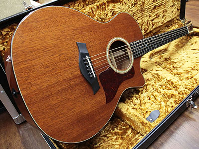 Taylor 514-CE-L10