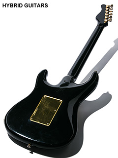 Valley Arts M Series ST-Type 全体裏面 サムネイル