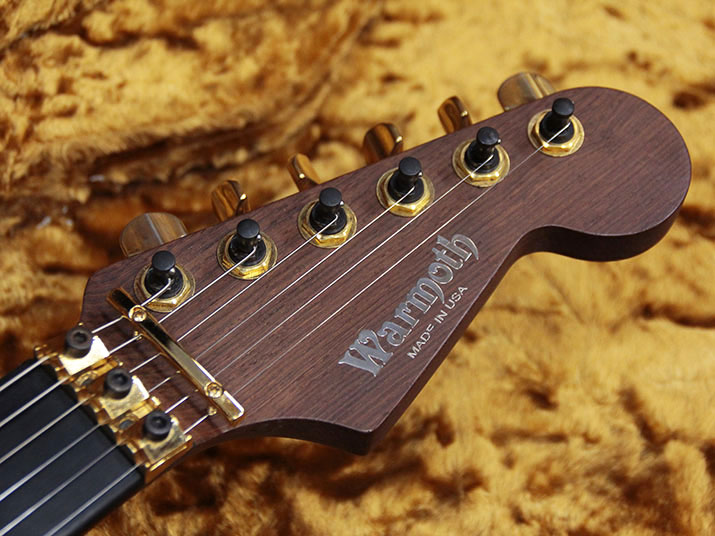 Warmoth Custom Stratocaster Trans Green 7
