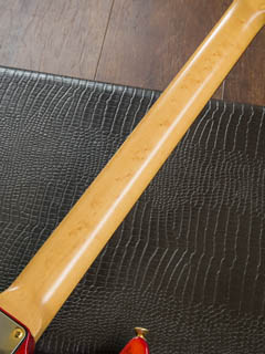 moon Stratocaster Birdseye Neck Warmoth ネック サムネイル