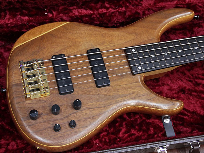 moon MBC-5 Fretless 2