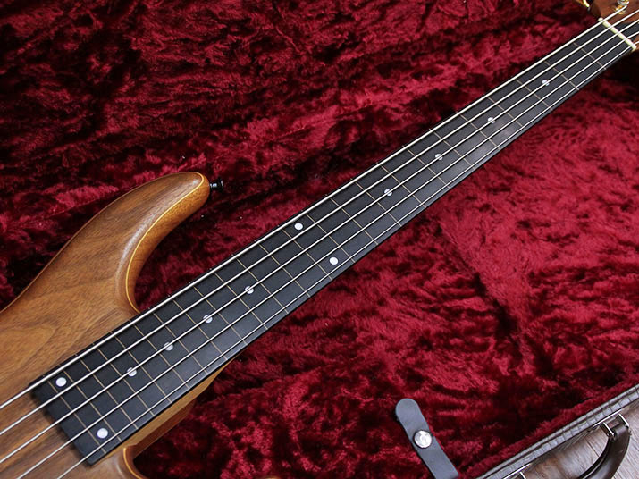 moon MBC-5 Fretless 5