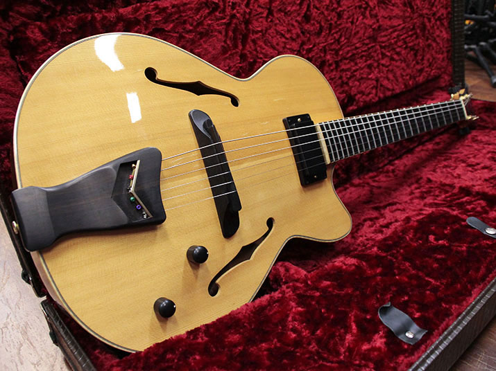 D’Aquisto DQ-CRE Centura Electric Semi-Hollow Mod 1