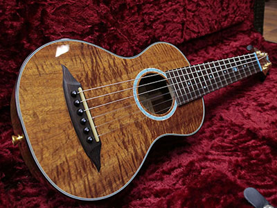SH GUITARS UG-TAKANAKA