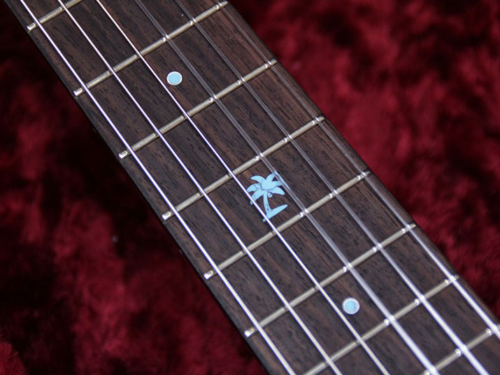 SH GUITARS UG-TAKANAKA 2