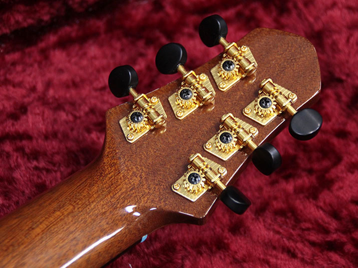 SH GUITARS UG-TAKANAKA 6