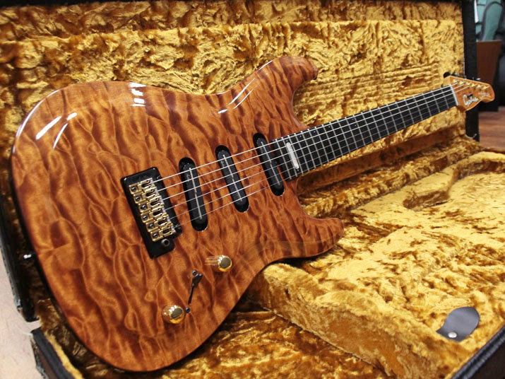 Godin Limited Edition Artisan ST-Signature AV 1