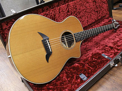 Breedlove  American Series C25/CR H with Piezo