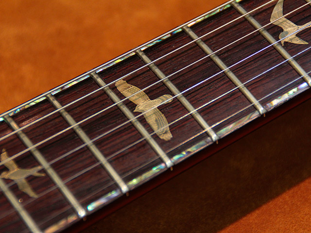 Paul Reed Smith(PRS) Private Stock Custom22 6