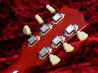 Crews Maniac Sound Collector's Select GRAVITY Brazilian Fingerboard 指板 サムネイル