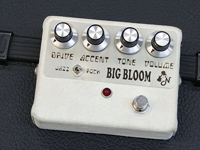 Amplified Nation Big Bloom
