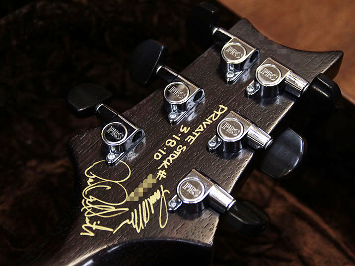Paul Reed Smith(PRS) Private Stock Purple Mist 13
