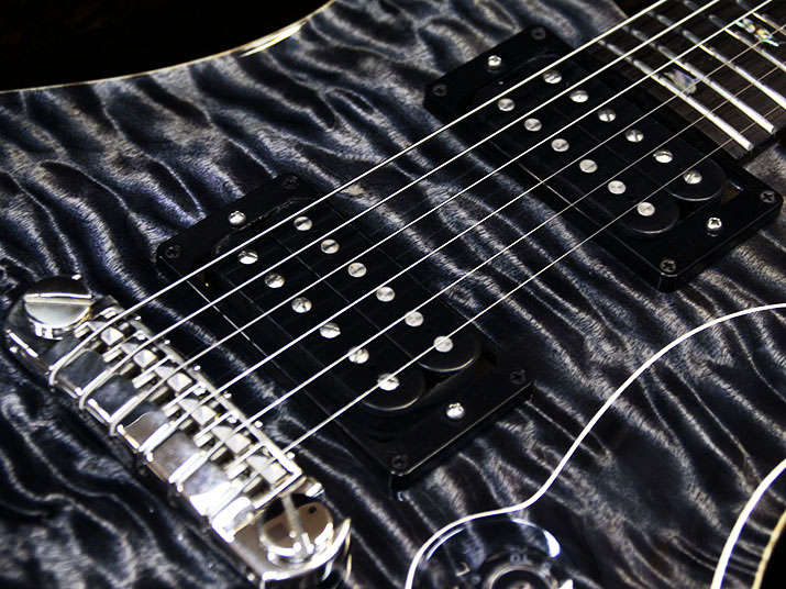 Paul Reed Smith(PRS) Private Stock Purple Mist 2