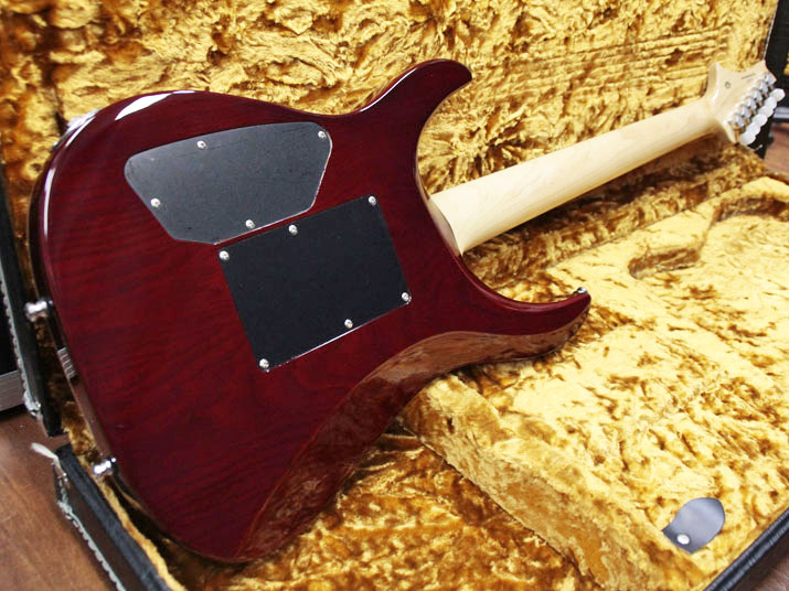 G-Life Guitars DSG Premium Volcano Fire 4