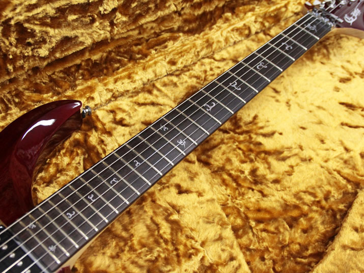 G-Life Guitars DSG Premium Volcano Fire 7