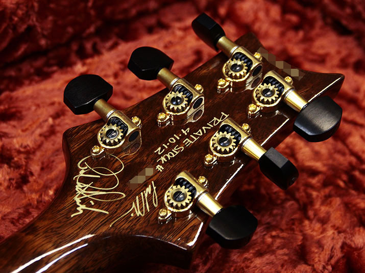 Paul Reed Smith(PRS) Private Stock Custom22 Semi-Hollow 10