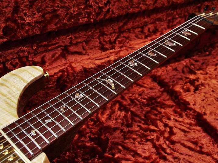 Paul Reed Smith(PRS) Private Stock Custom22 Semi-Hollow 5