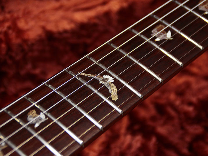 Paul Reed Smith(PRS) Private Stock Custom22 Semi-Hollow 6