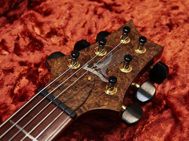 Paul Reed Smith(PRS) Private Stock Custom22 Semi-Hollow 7