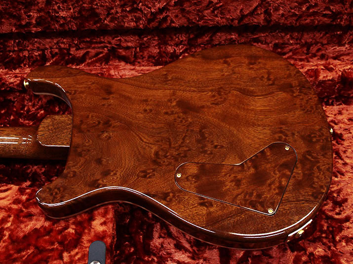 Paul Reed Smith(PRS) Private Stock Custom22 Semi-Hollow 9