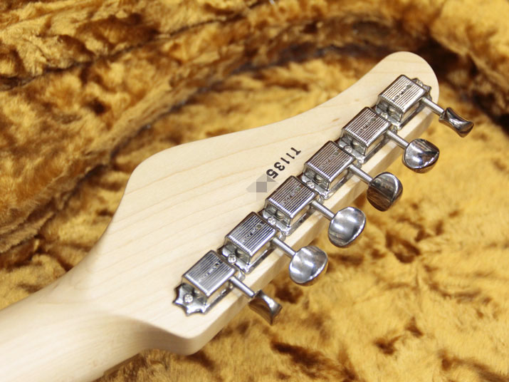 ESP Custom Order Stratocaster 10