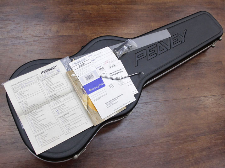 PEAVEY Wolfgang Standard Black 10