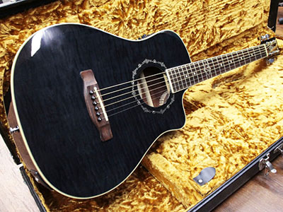 Fender Acoustic