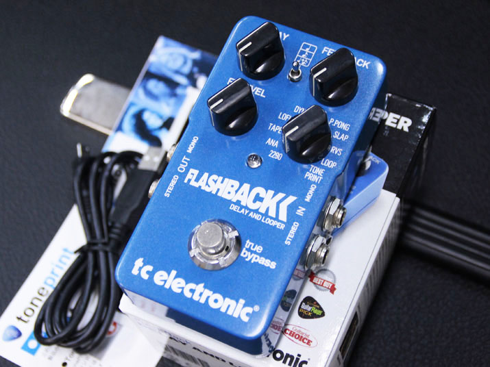 t.c. electronic Flashback Delay 1