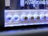 Hughes & Kettner Tube Meister 18 Head 全体裏面 サムネイル